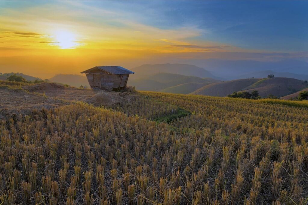 ChiangMai清邁-泰國